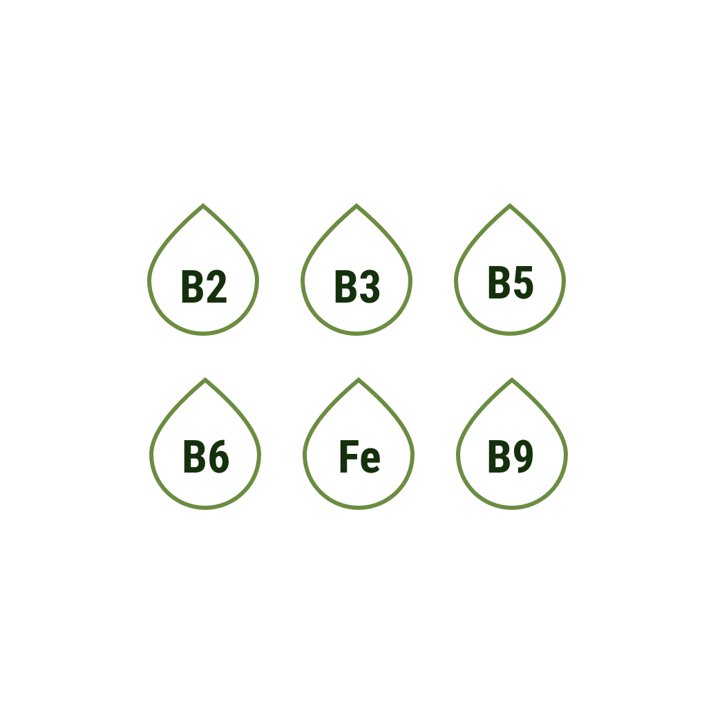 Fortified Cereals What Are They & Top Fortified Options Nestlé Cereals